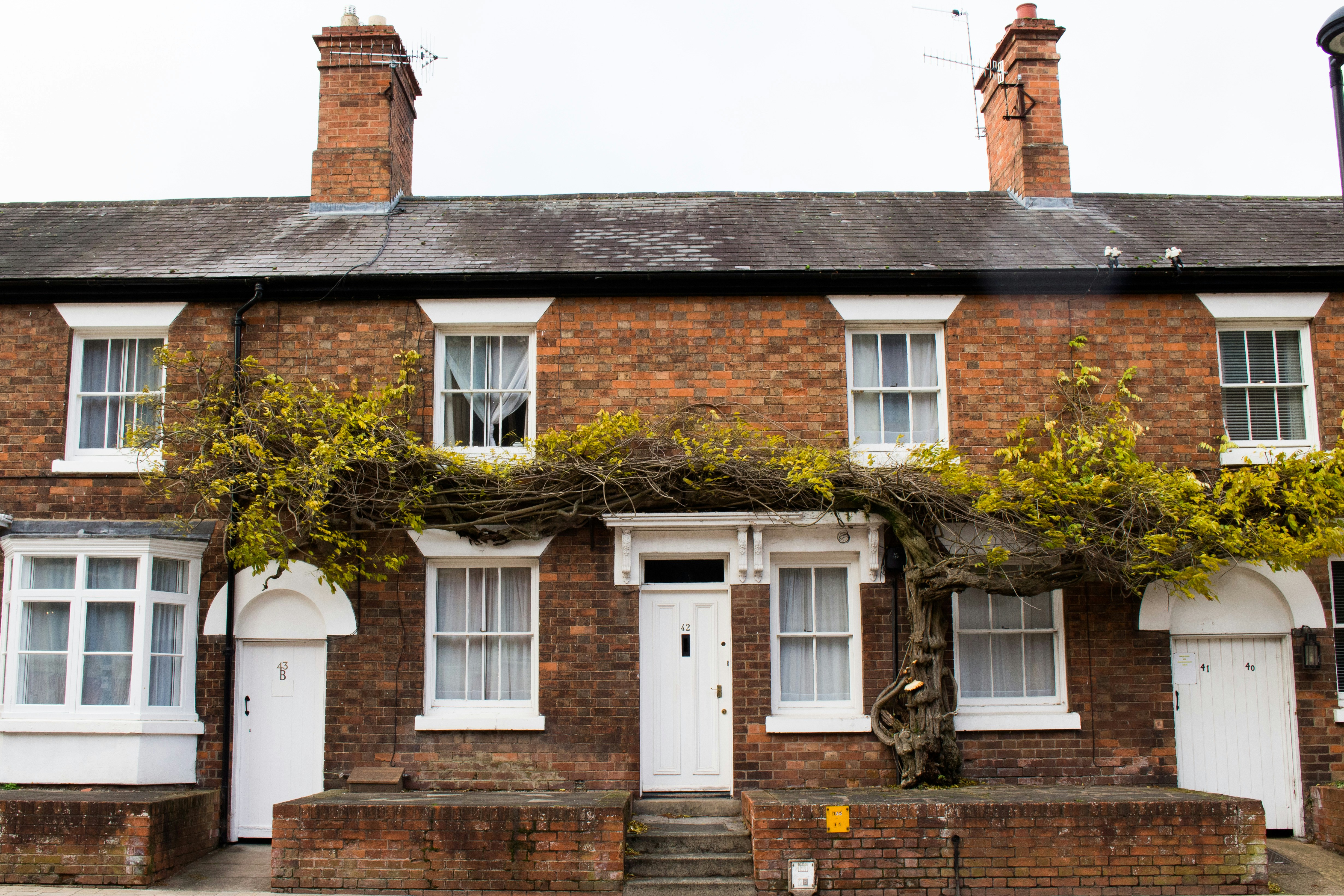 Traditional red-brick terraced homes with greenery